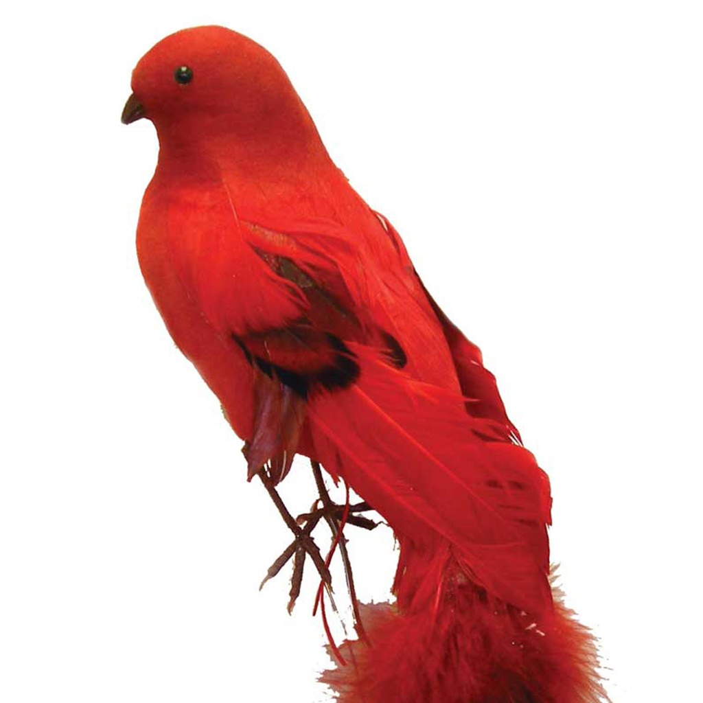 14" FEA/FLOCKED LONG TAIL BIRD  RED