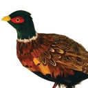 30" STANDING PHEASANT WITH FEATHERS