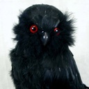 OWL 13" STANDING FEATHER BLACK W/RED EYES