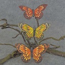 BUTTERFLY 4.5" FEA/GLITTER 3-AST W/CLIP