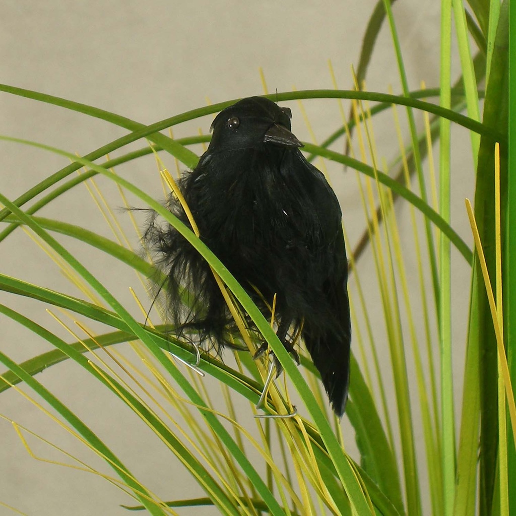 CROW 4" FEATHERED