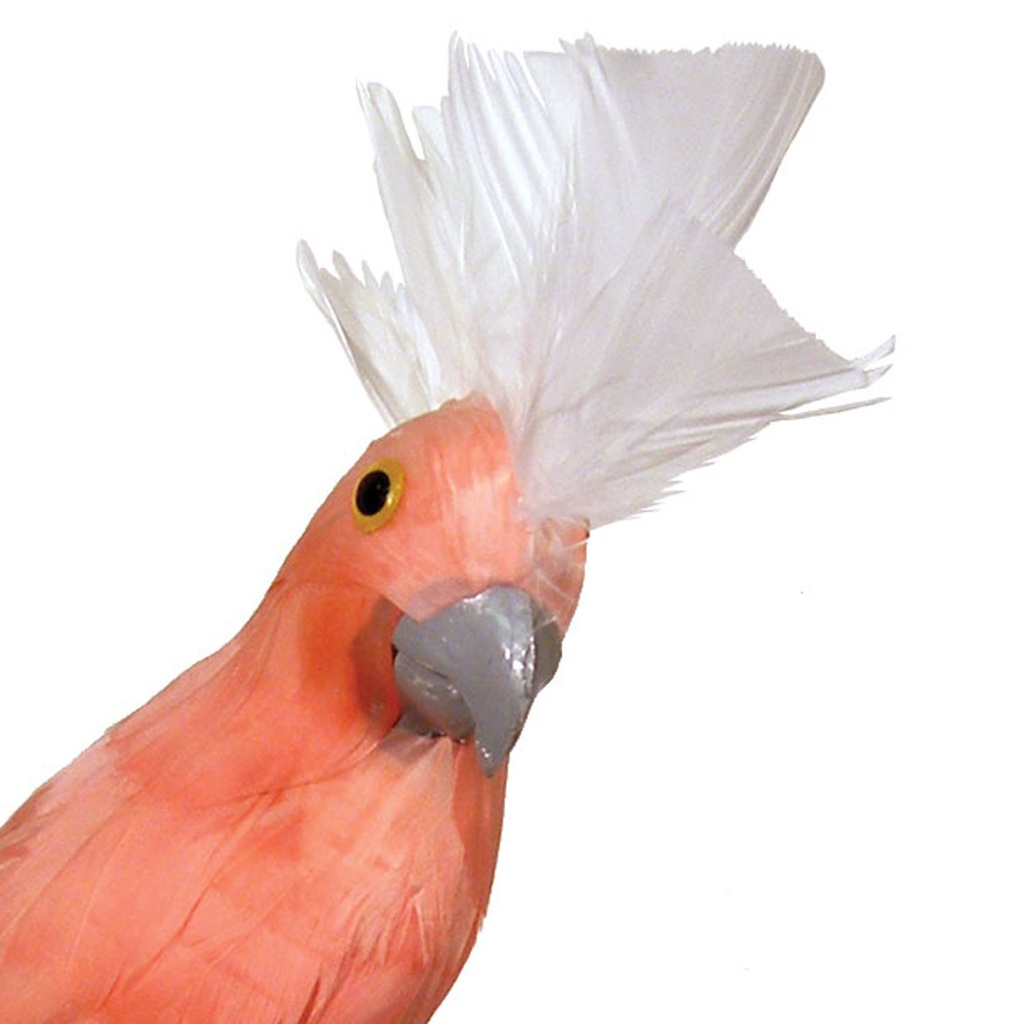 COCKATOO 10&quot; FEATHERED PINK W/WHITE COMB