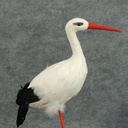 STORK 18" FEATHERED NATURAL