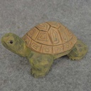 TORTOISE WOOD 2.25" x 4"