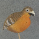 ROBIN 7.5" x 4.5" WOOD