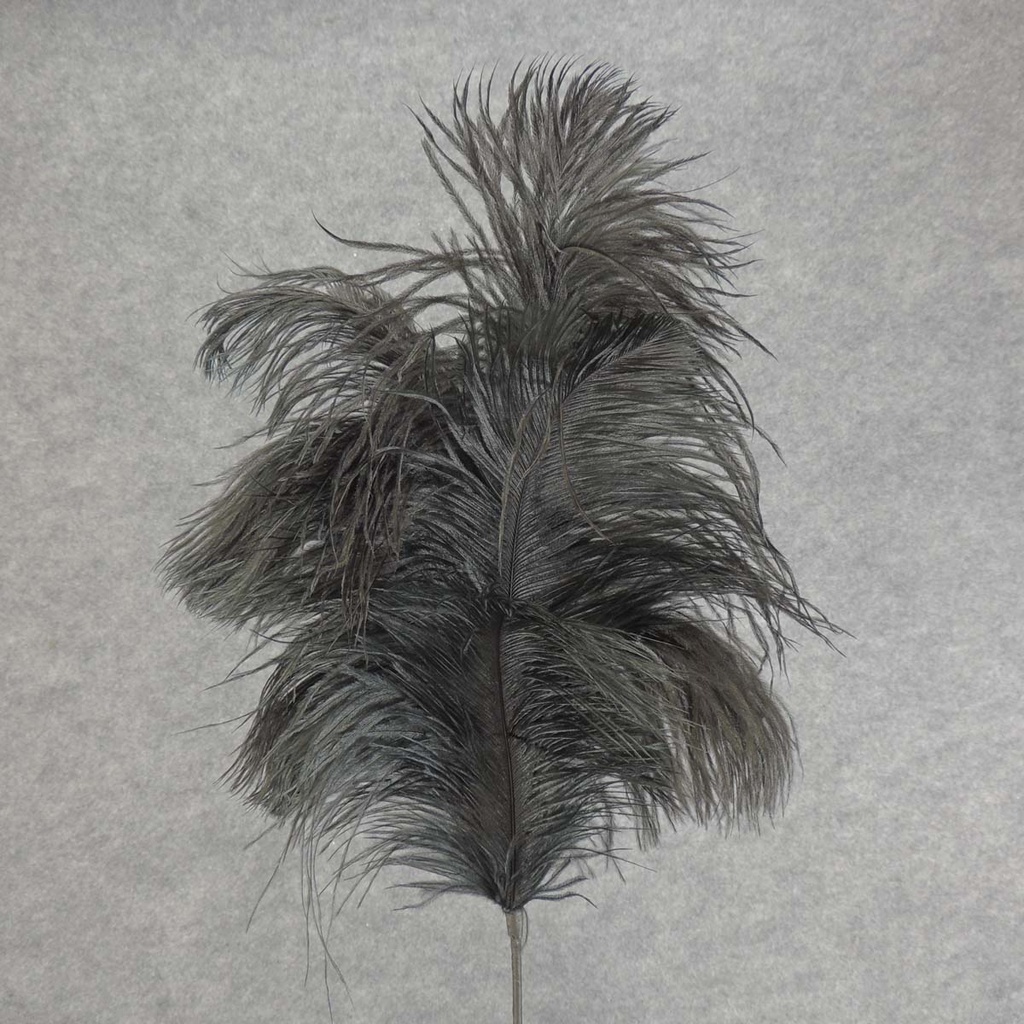 FEATHER SPRAY OSTRICH 30&quot;  BLACK