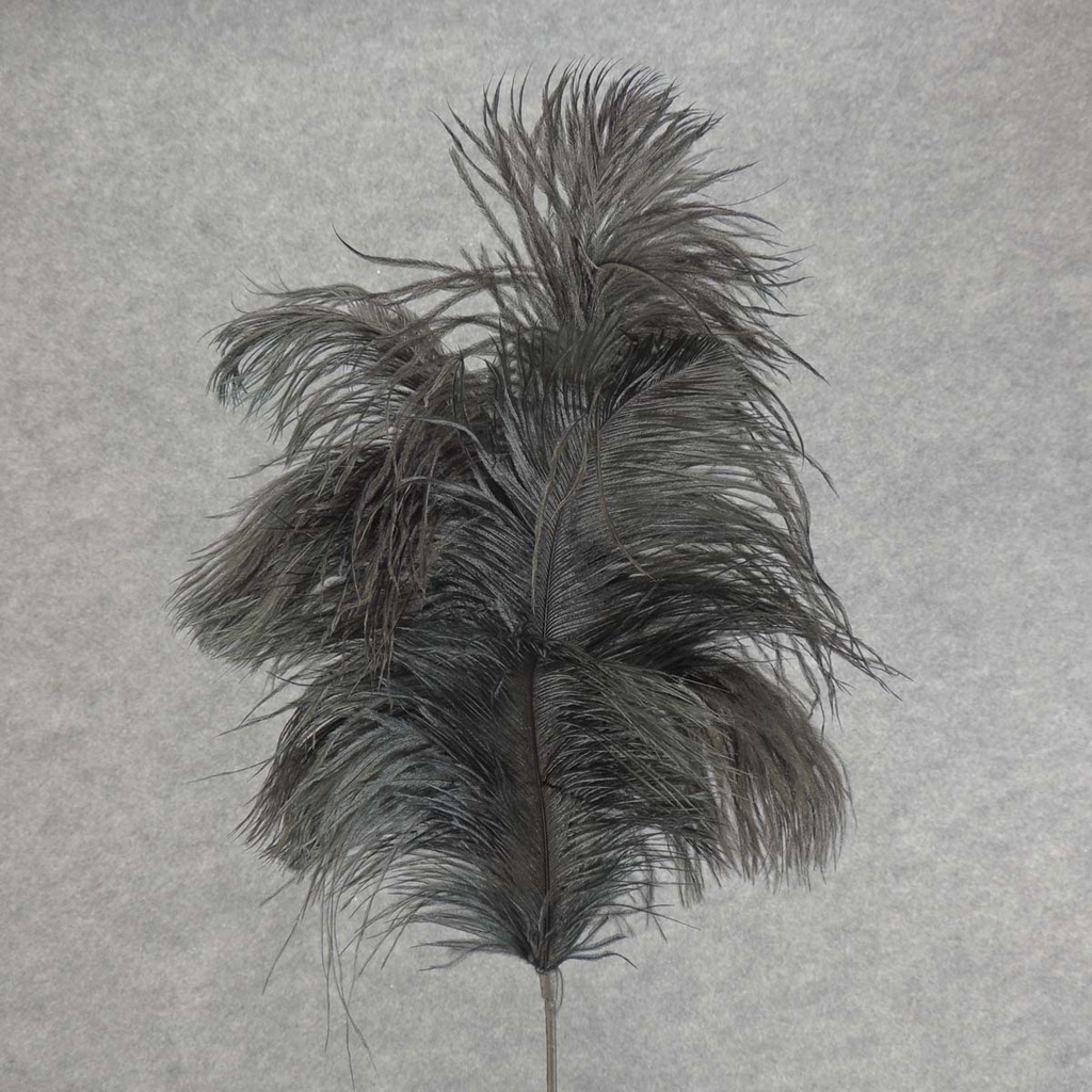 FEATHER SPRAY OSTRICH 30"  BLACK