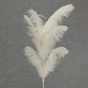 FEATHER SPRAY OSTRICH 30&quot;  WHITE