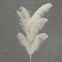 FEATHER SPRAY OSTRICH 30"  WHITE