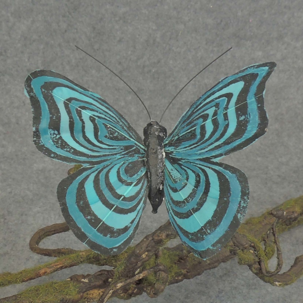 BUTTERFLY W/CLIP  4" BLACK/TURQUOISE