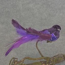 BIRD FEATR/VELVET/SEQUIN 5.25" W/CLIP  PURPLE