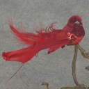 BIRD FEATR/VELVET/SEQUIN 5.25" W/CLIP  RED