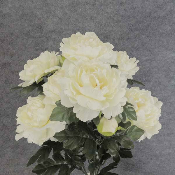 PEONY BUSH X12 21" CREAM/WHITE