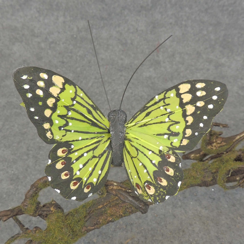 BUTTERFLY W/CLIP  4"  GREEN