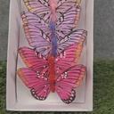 BUTTERFLY 4.5&quot; FEATHER 6-ASST W/CLIP PASTEL