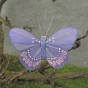 BUTTERFLY 3&quot; LAVENDER FEATHER W/CLIP