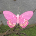 BUTTERFLY 3" PINK FEATHER W/CLIP