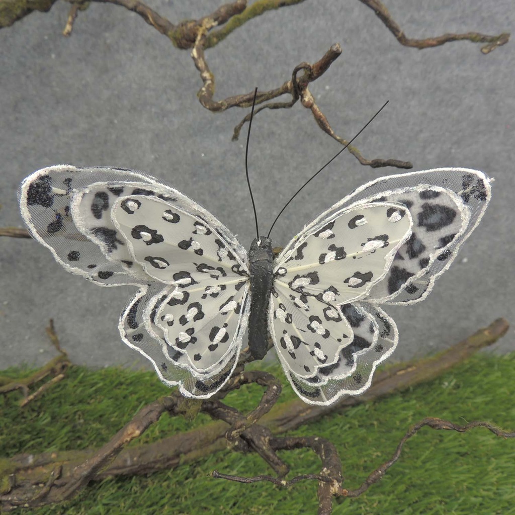 BUTTERFLY 5" BLACK/WHITE W/CLP LEOPARD PRINT