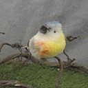 BIRD BABY FUZZY W/FEATHER 4" W/CLIP