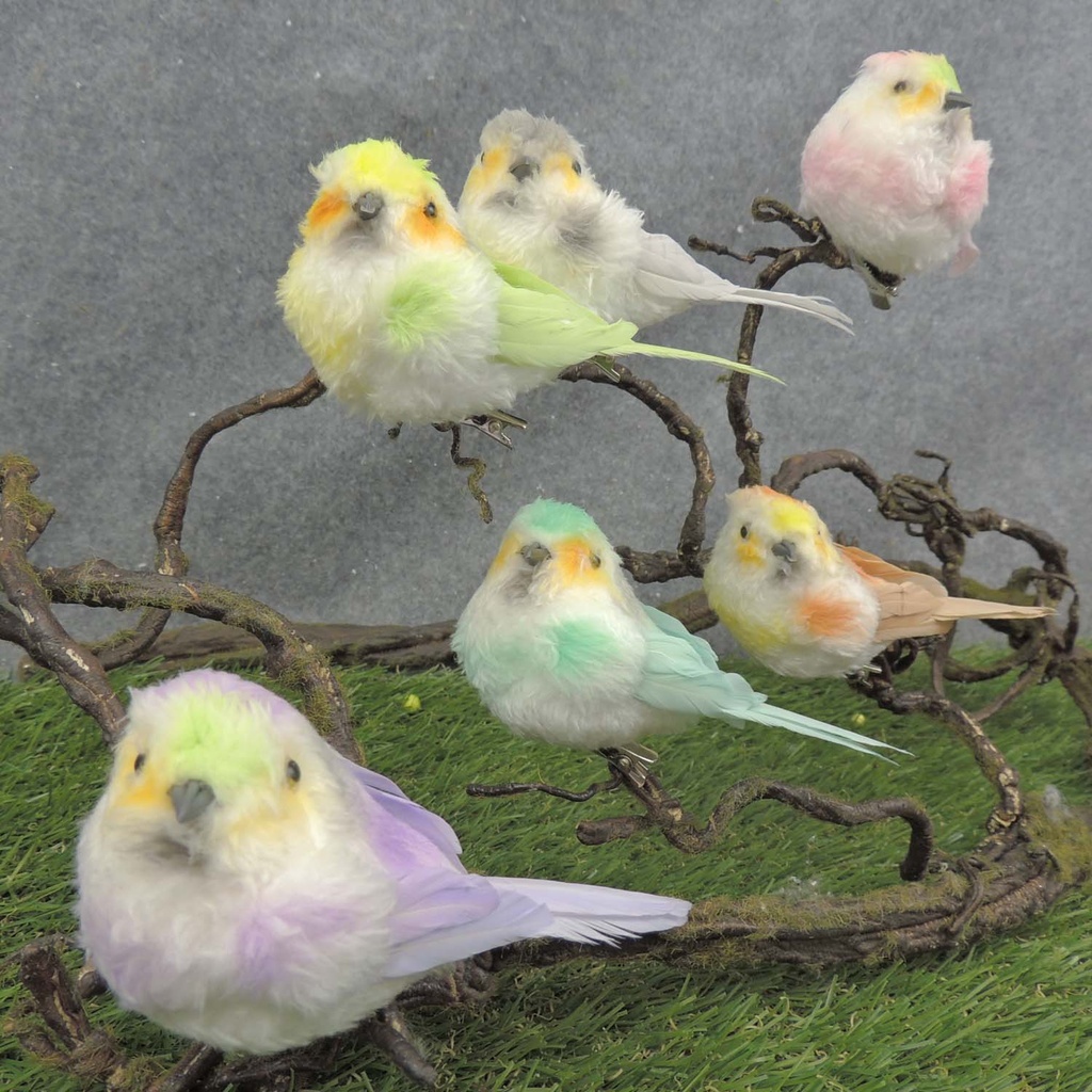 BIRD PASTEL 6-ASST 4.5" W/CLIP FEATHER/FUZZY