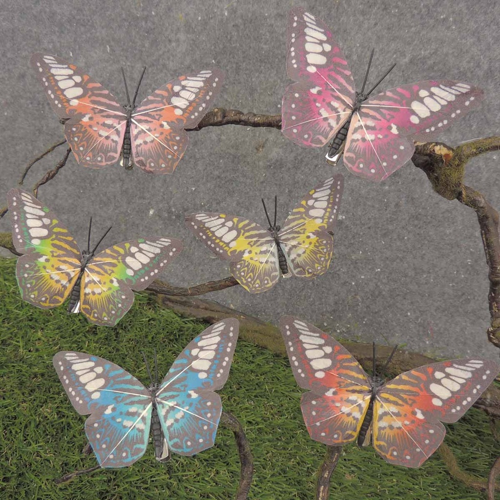 BUTTERFLY 3.5" STRIPE 6/AST ON CLIP (FEATHER)