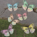 BUTTERFLY 3.5&quot; PASTEL 6/AST ON CLIP (FEATHER)