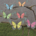 BUTTERFLY 3.5" PRIMARY 6/AST ON WIRE (FEATHER)