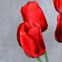 TULIP BUSH X8 20" (SATIN) RED