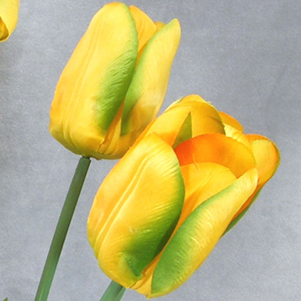 TULIP BUSH X8 20" YELLOW/ORG (SATIN)
