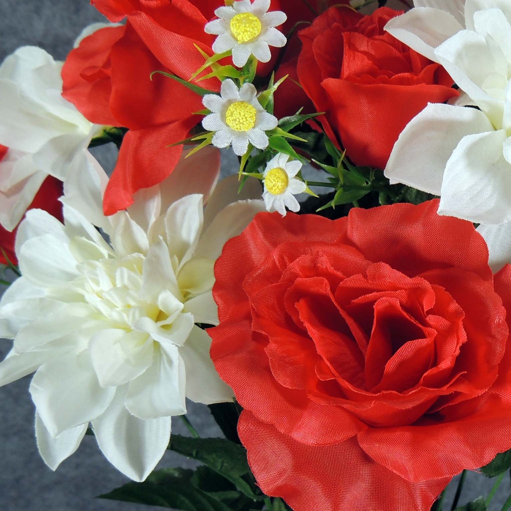 ROSE/ROSE BUD/DAHLIA BUSH X18  RED/CREAM