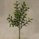 BOXWOOD PICK 8&quot; GREEN