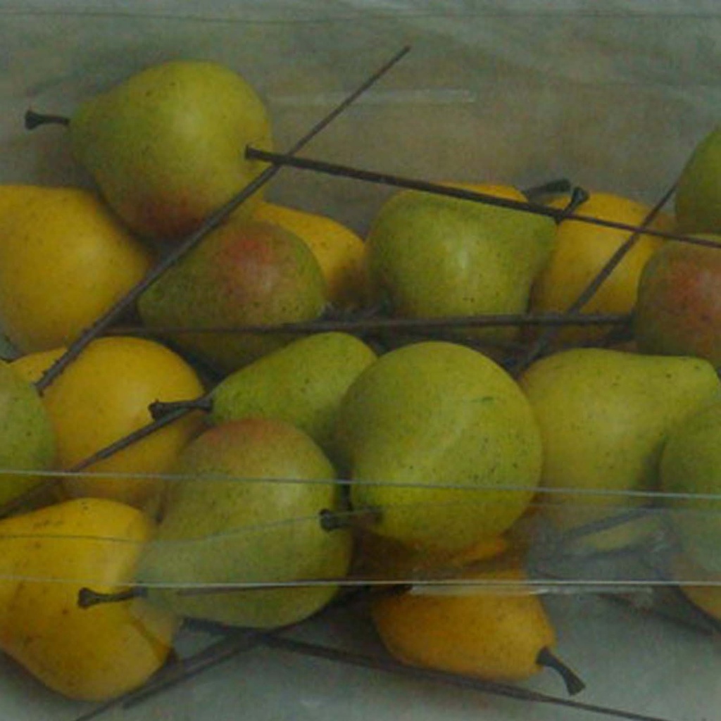 FRUIT PEARS 4 ASSORTED (24/BOX)