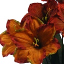 AMARYLLIS BUSH X7 RUST/BRN 22"