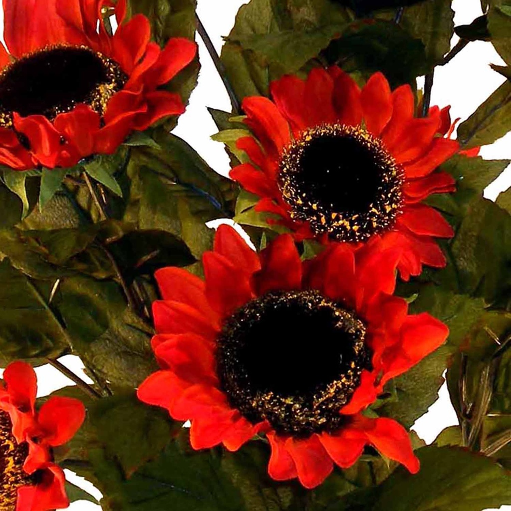 SUNFLOWER BUSH X12  RED 21"