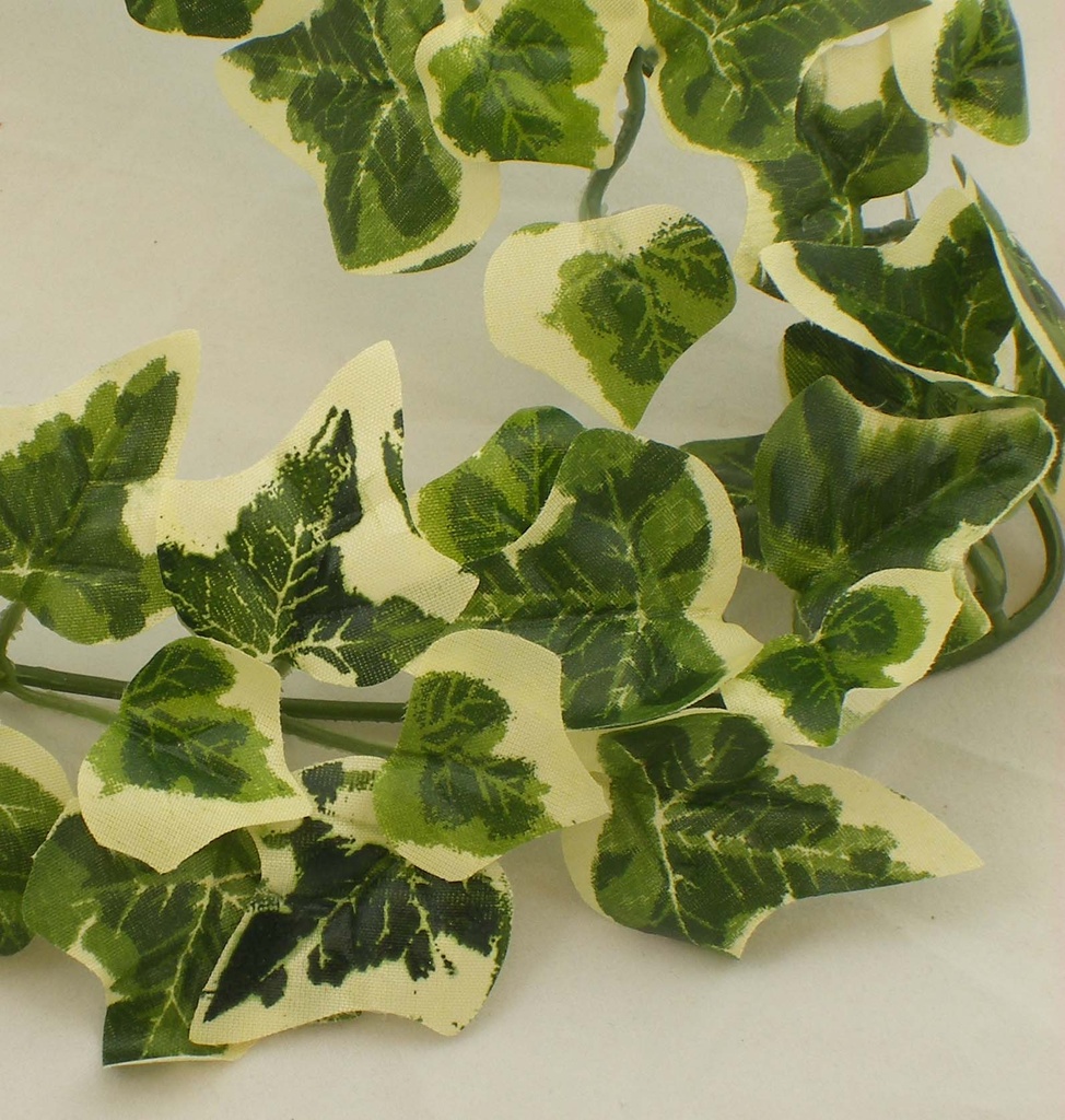 GARLAND 6' NEEDLEPOINT MINI IVY W/185 LVS VARIGATED