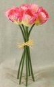 TULIP SATIN MINI 11" BUNDLE X6 PINK