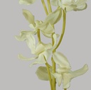 DENDROBIUM SPRAY WHITE 31.5"