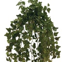 IVY NEEDLEPOINT BUSH W/708 LVS GREEN