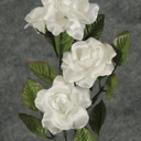 CAMELLIA SPRAY X 5 (SATIN)WHITE