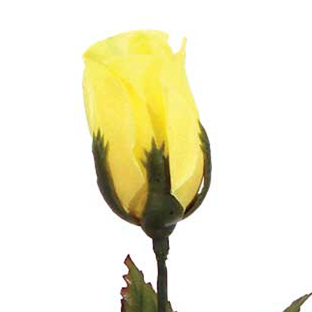 ROSE BUD SINGLE FRENCH SFT YELLOW 14.5"