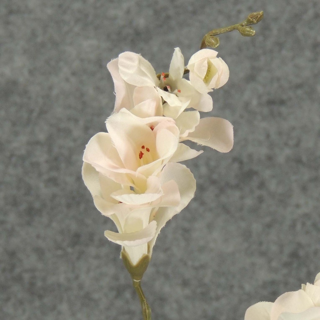 FREESIA SPRAY X 21  BRIDAL WHT  BRIGHT WHITE