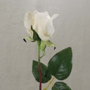 ROSE BUD LARGE CREAM