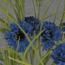 CORNFLOWER 24" BUSH X18