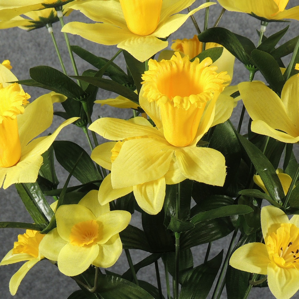 DAFFODIL BUSH X 14  YELLOW