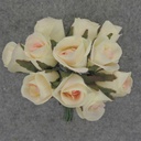 ROSE SWEETHEART PICK CHAMPAGNE (1 DZ/POLY BAG)
