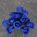 ROSE SWEETHEART PICK  NAVY BLUE (1 DZ/POLY BAG)