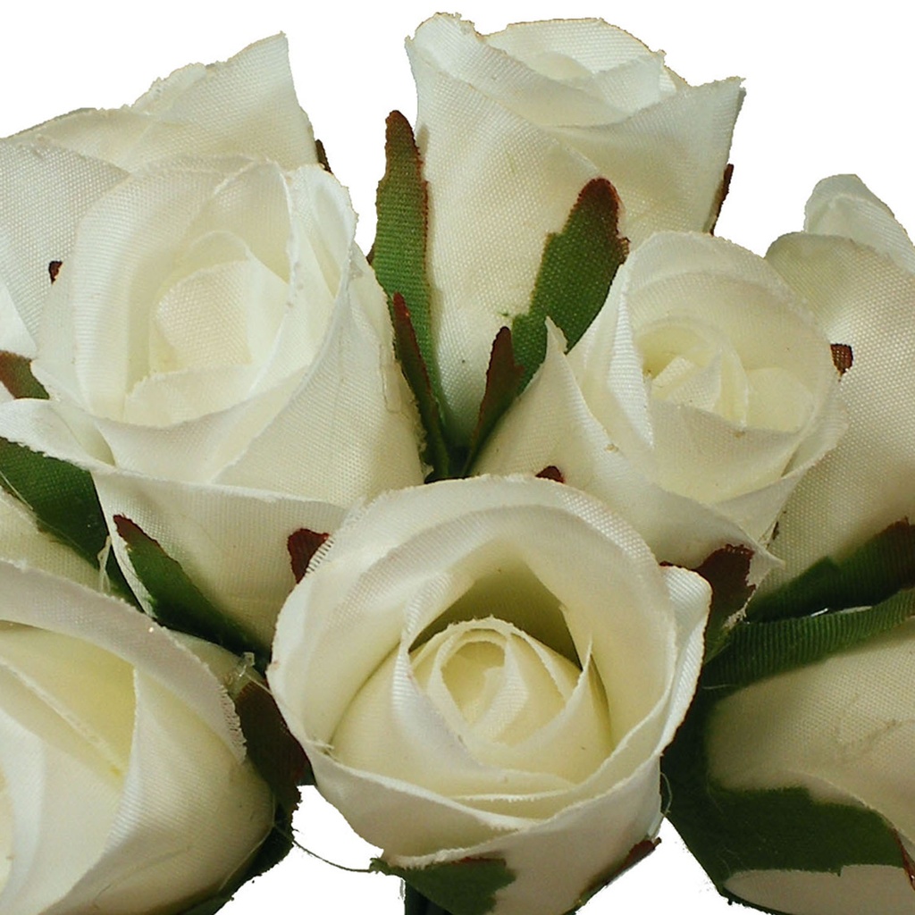 ROSE SWEETHEART PICK  WHITE (1 DZ/POLY BAG)