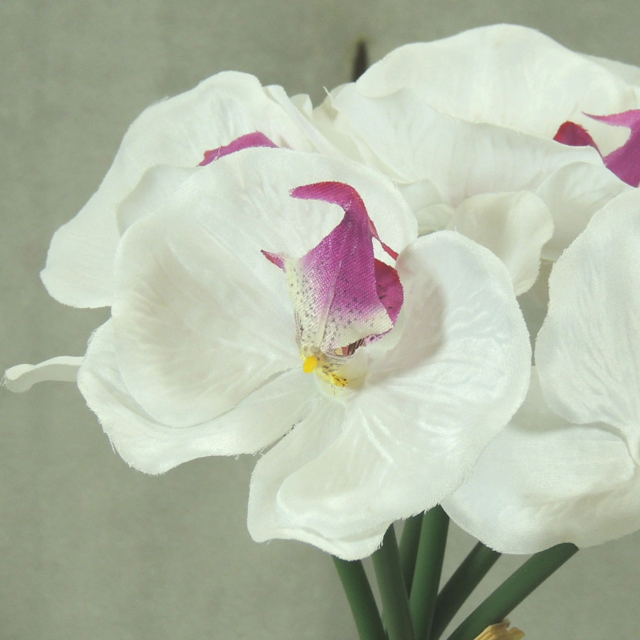 ORCHID 10.5" SATIN BUNDLE X6  WHITE