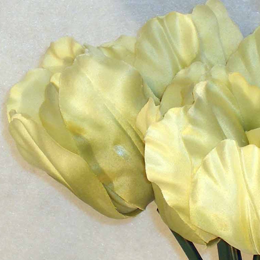 TULIP 12" SATIN BUNDLE X6  GREEN