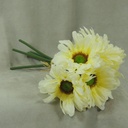 GERBERA LARGE 10.5" BUNDLE X6  CREAM